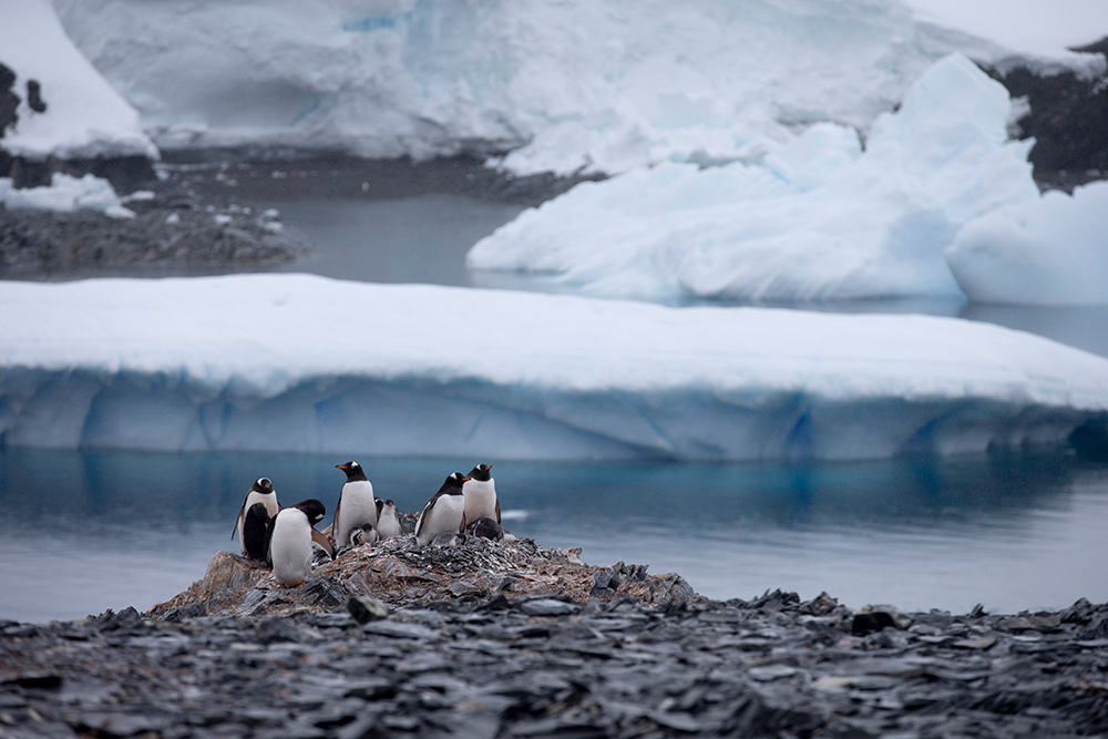Descubren la primera fuga activa de metano en los fondos marinos de la Antártida