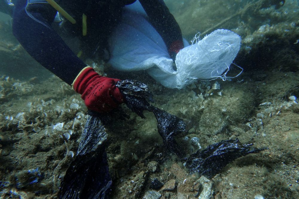 Los desechos plásticos en los mares se triplicarán en 2040 si no se toman medidas