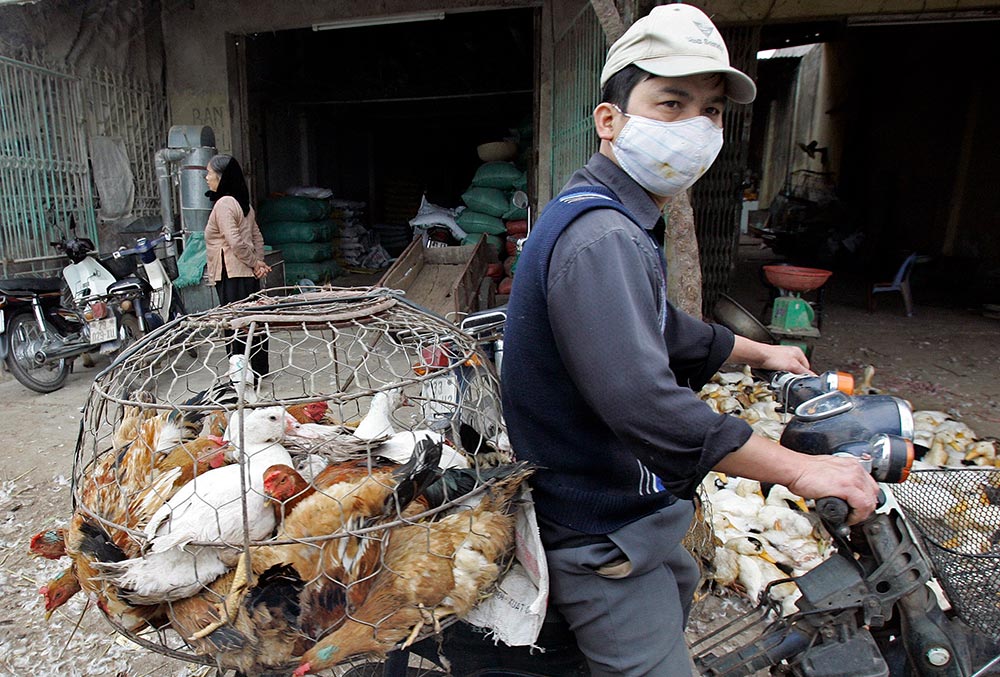 Vietnam prohíbe el comercio de animales salvajes por la pandemia
