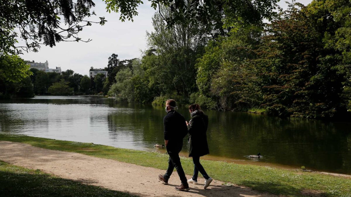 Bosques urbanos, imprescindibles contra el cambio climático