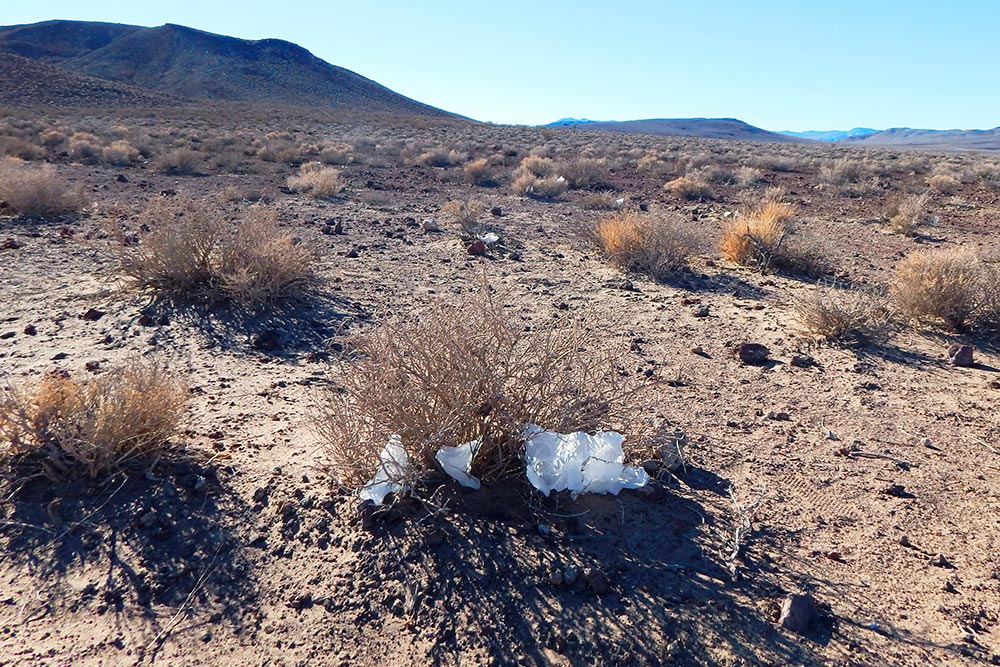 El Valle de la Muerte registra la temperatura más elevada de la historia