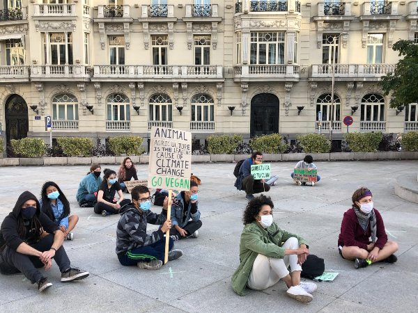 Activistas de Fridays For Future protestan sentados y con mascarilla ante el Congreso de los Diputados 2