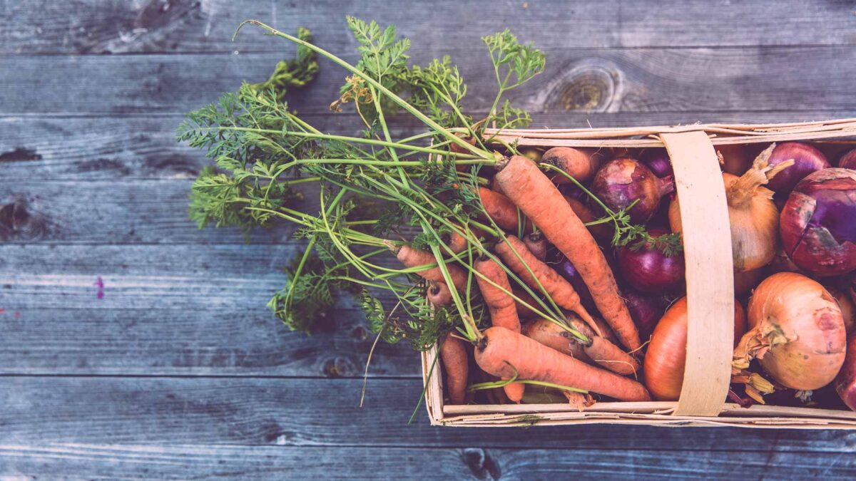 De la huerta a tus hormonas: así nos afectan los pesticidas que ingerimos a través de los alimentos