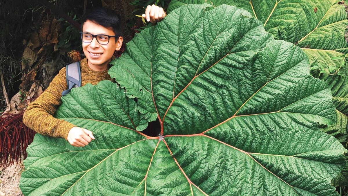 El Señor de las Plantas: «La pandemia disparó la necesidad de romper los muros blancos de casa poniendo plantas»