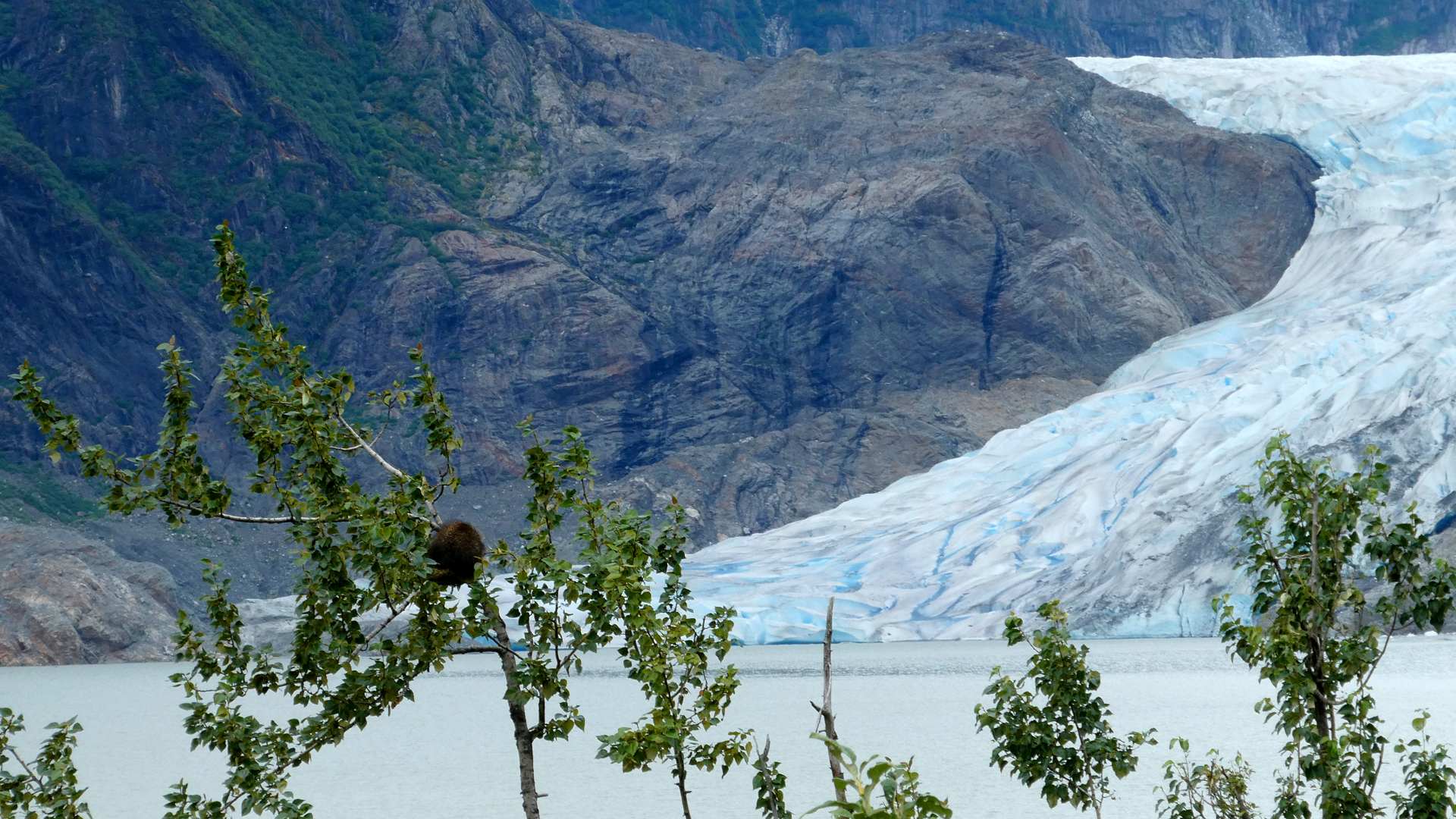 Más de un tercio de la masa de glaciares desaparecerá este siglo