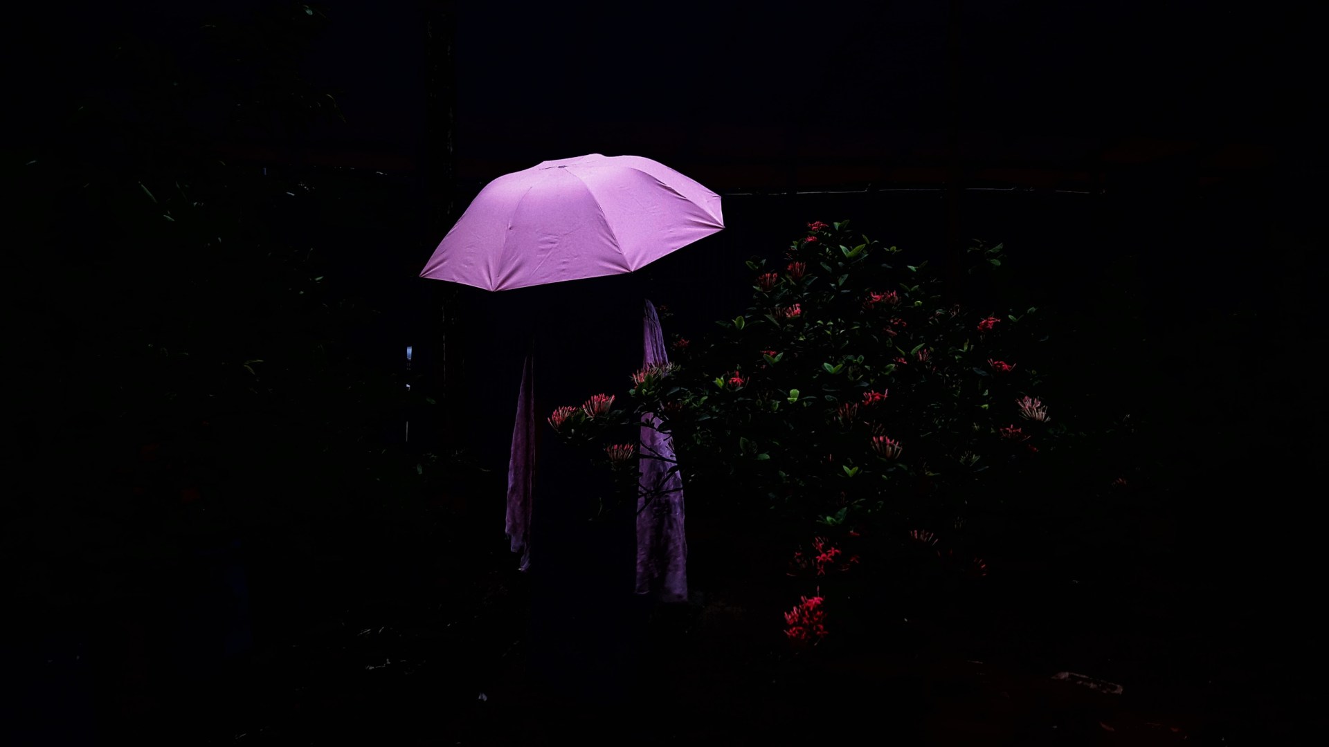 Un paraguas lila