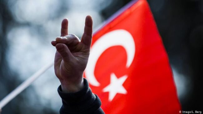 Francia anuncia la prohibición del grupo nacionalista turco de los 'Lobos Grises'