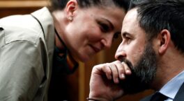 Vox presenta un recurso contra la prórroga del estado de alarma de seis meses: “Estamos ante una deriva totalitaria”