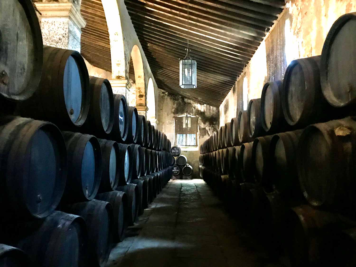 Guía de uso y disfrute del vino de Jerez. Introducción 1