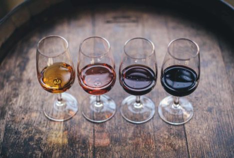 Guía de uso y disfrute del vino de Jerez. Introducción