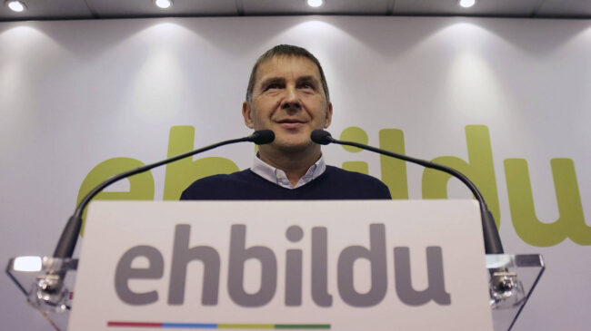 Otegi afirma que el sí de Bildu a los Presupuestos es parte del "proceso" para "alcanzar la república vasca"