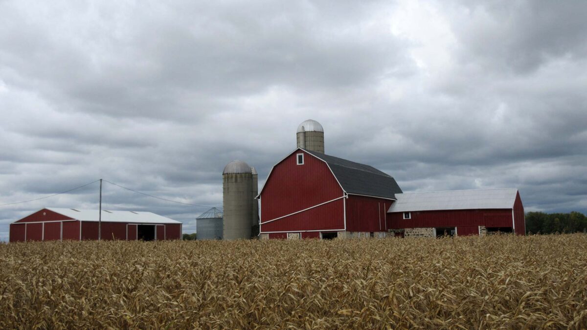 Wisconsin y la madre de Chris