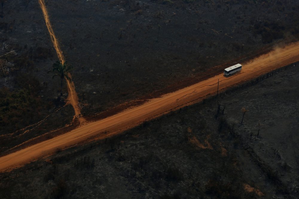 La deforestación en el Amazonas alcanza con Bolsonaro su mayor nivel en 12 años