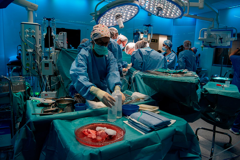 El Clínic de Barcelona realiza el primer trasplante de útero de una donante viva en España