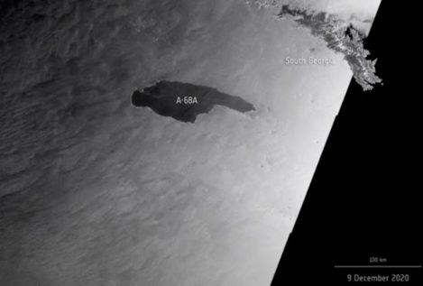 Un iceberg gigante se acerca a Georgia del Sur, en el Océano Austral