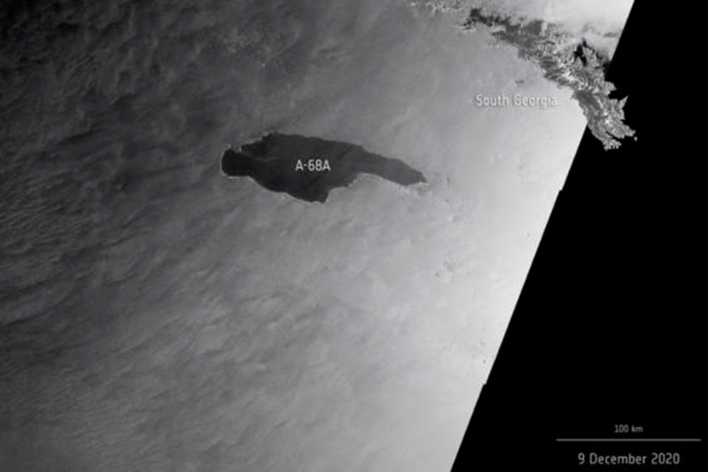 Un iceberg gigante se acerca a Georgia del Sur, en el Océano Austral
