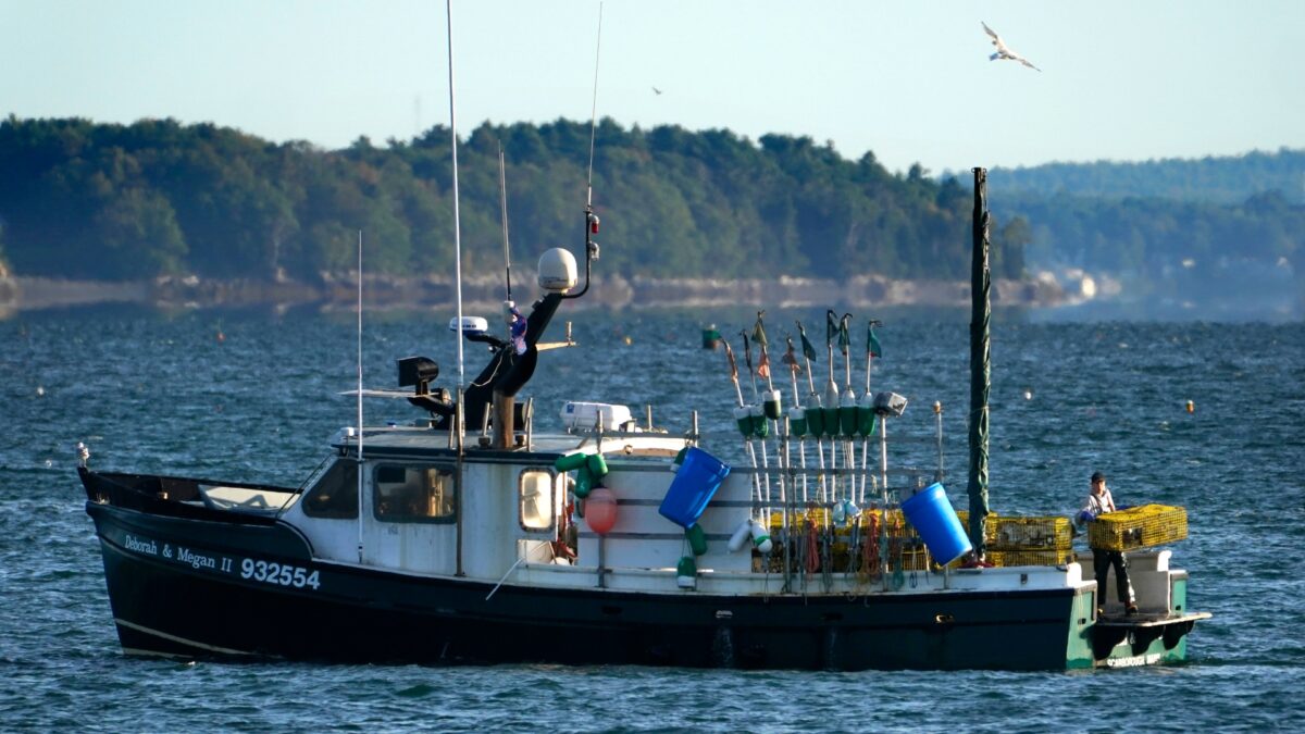 Océano Atlántico: el origen de la circulación marina y nuestro gusto por el bacalao