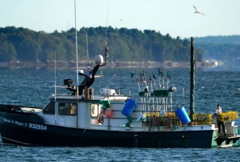 Océano Atlántico: el origen de la circulación marina y nuestro gusto por el bacalao