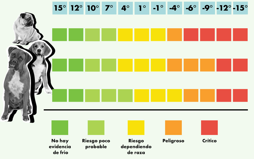 ¿Cuánto frío puede soportar un perro?