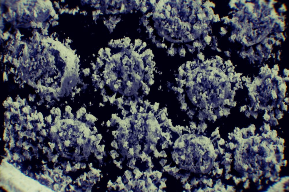 Un fármaco español sorprende a ‘Science’ por anular el coronavirus