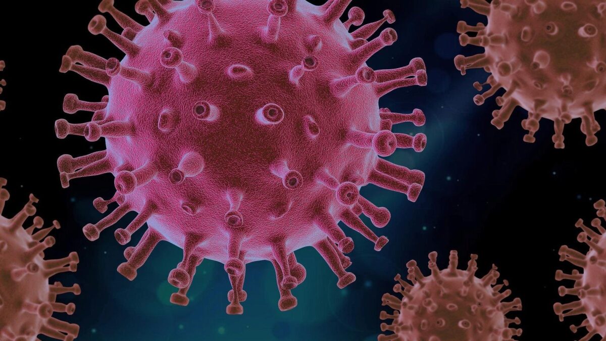 Descubren una nueva variante del coronavirus en Túnez