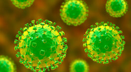 El nuevo virus más mortal que el COVID-19 que tiene a la OMS en vilo
