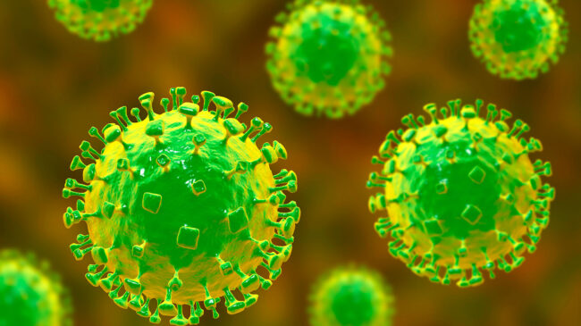 El nuevo virus más mortal que el COVID-19 que tiene a la OMS en vilo