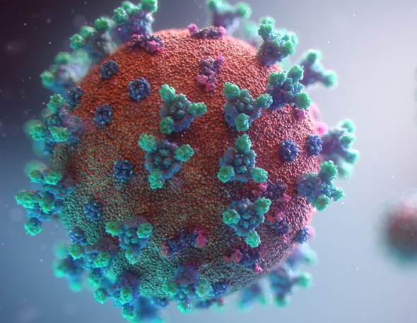 Imagen visual del virus COVID-19 | Foto: Fusion Medical Animation | Unsplash