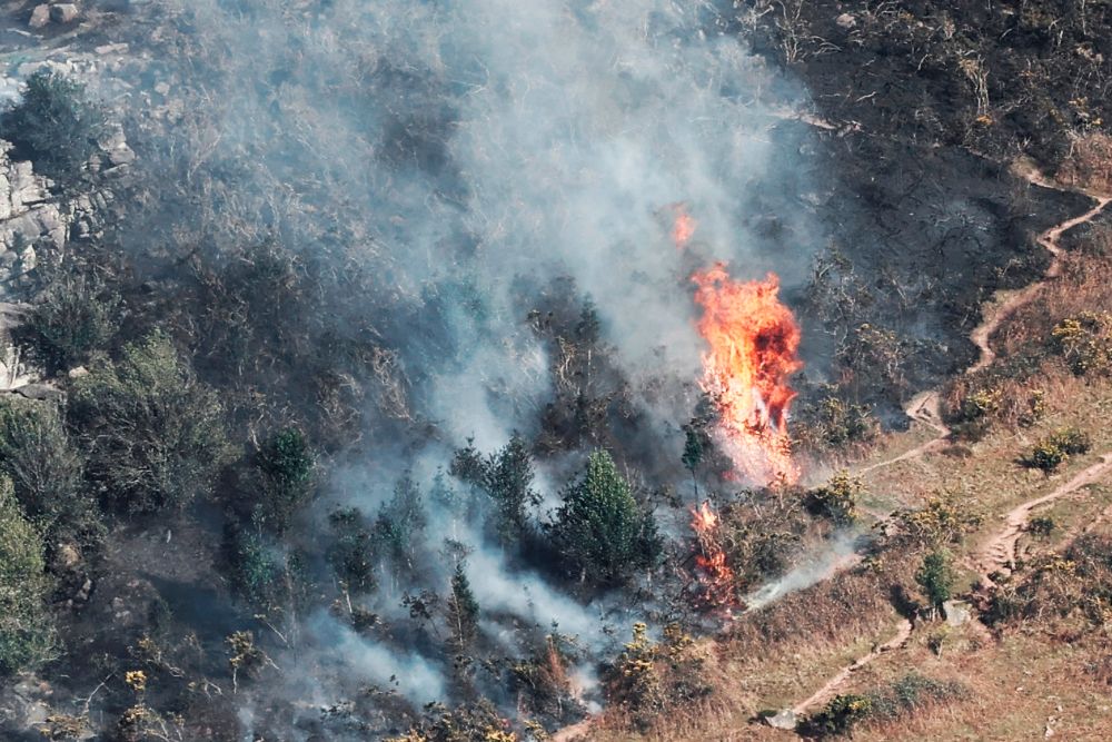 Extinguido el incendio de Navarra tras quemarse unas 1.800 hectáreas