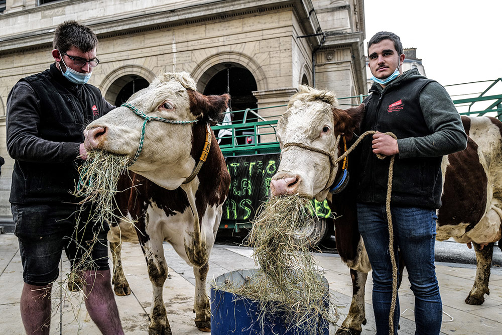 Un menú escolar sin carne crea polémica en Francia