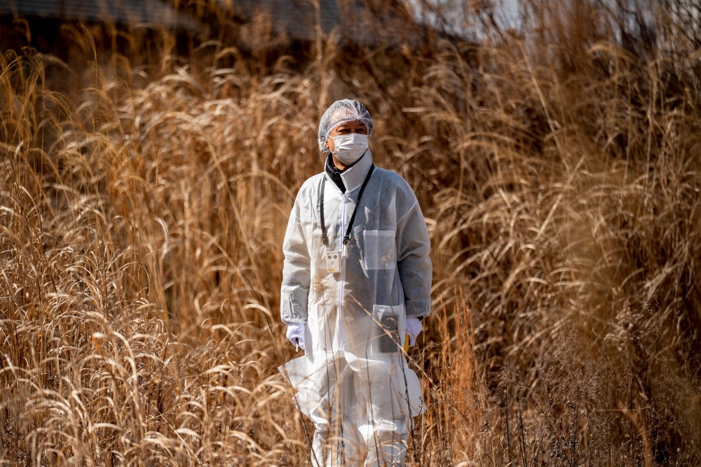 10 años de Fukushima: la ONU asegura que la radiación no traerá «efectos nocivos» para la salud