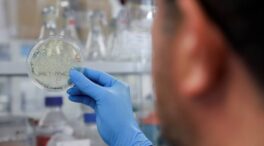 Varios investigadores descubren una nueva variante del coronavirus en Bélgica