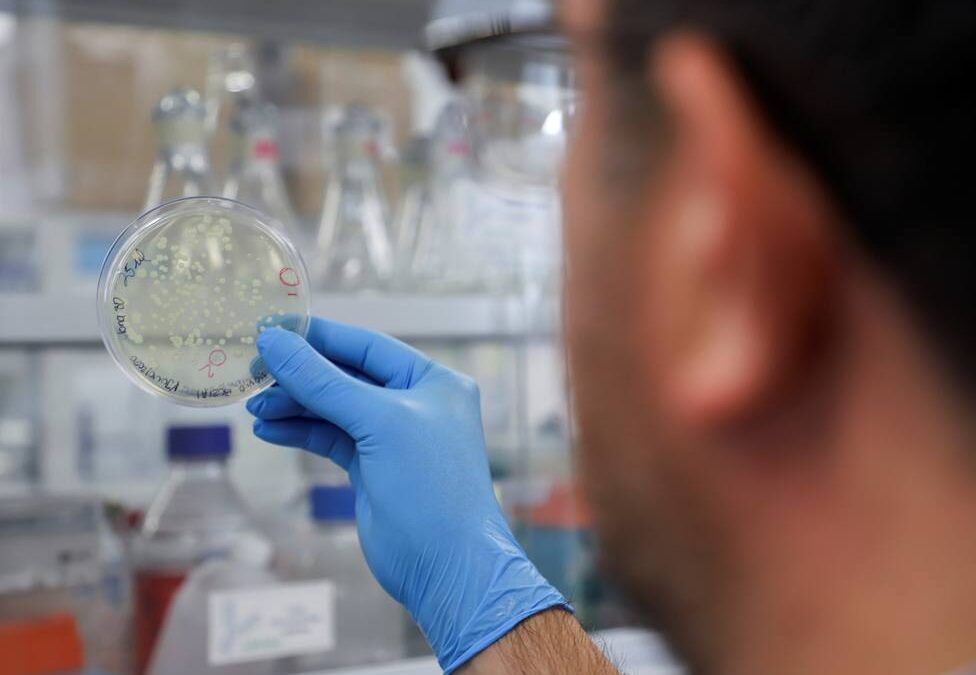 Varios investigadores descubren una nueva variante del coronavirus en Bélgica