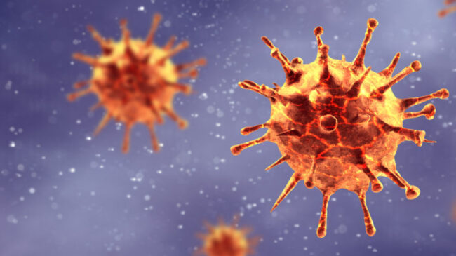 Detectan una nueva variante de coronavirus en Andalucía