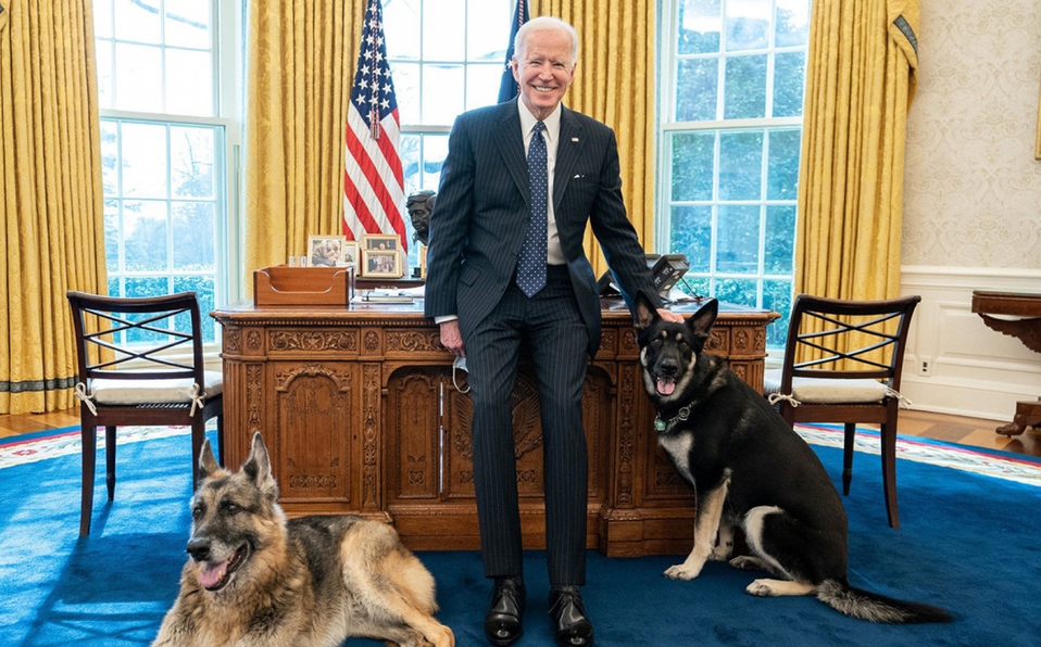 Expulsan de la Casa Blanca a los perros de Biden por un comportamiento agresivo