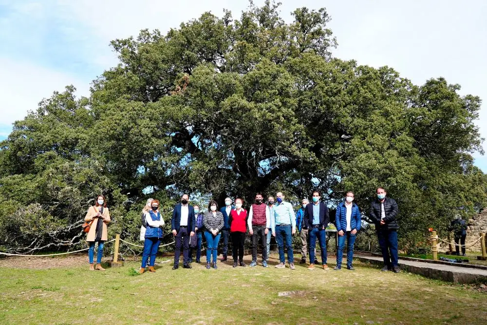 La Carrasca de Lecina, un pueblo aragonés de 13 habitantes, nombrada Árbol Europeo del Año