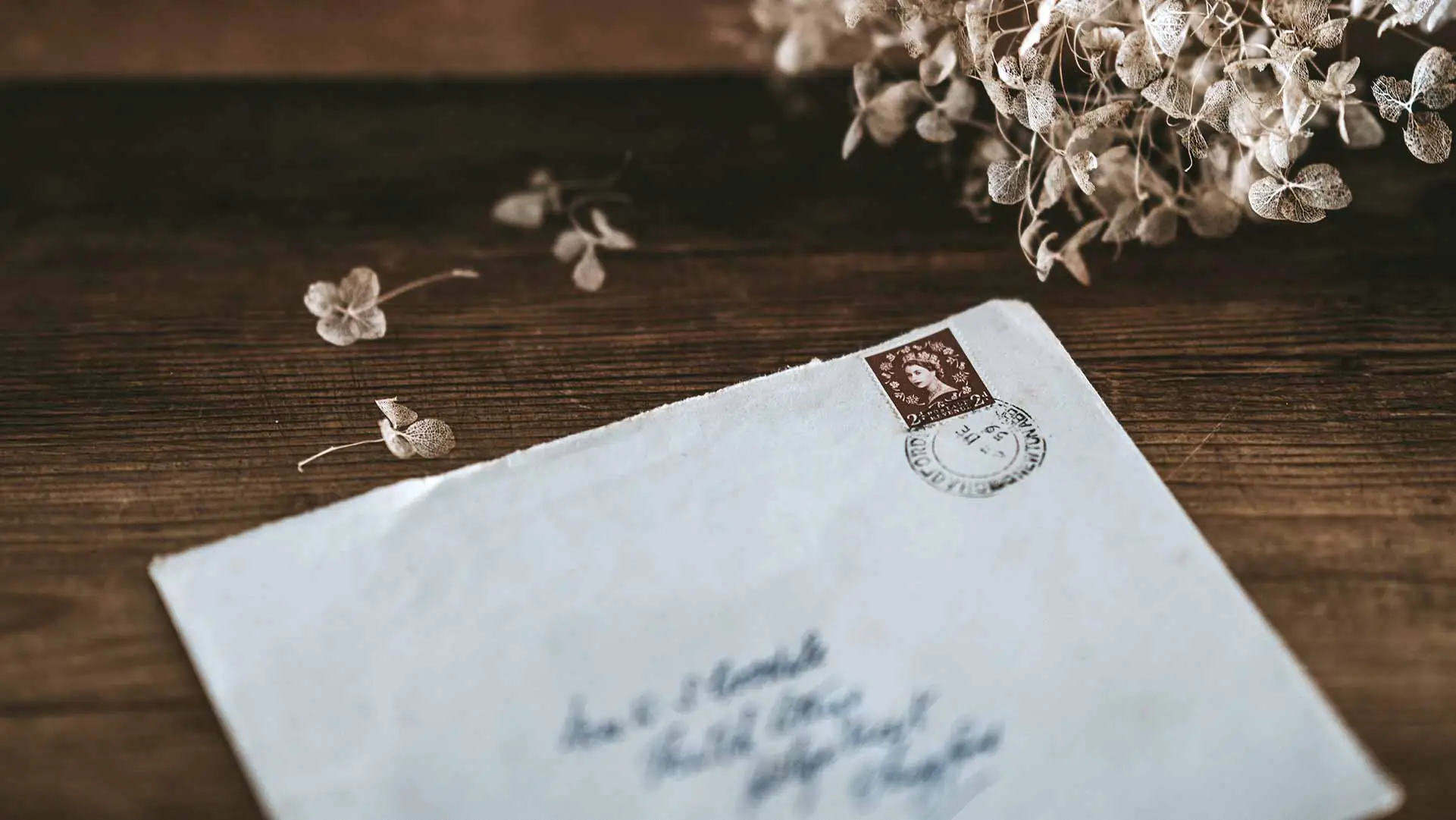 Virginia Woolf: «Espero merecer elogios por volver a coger la pluma»