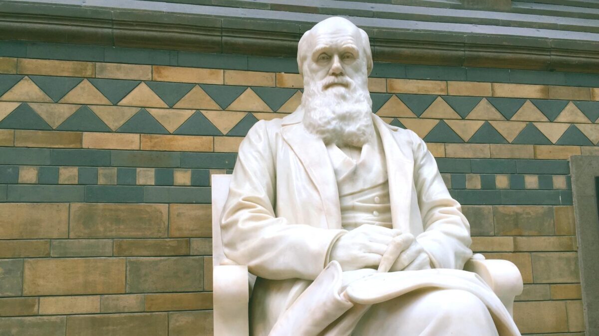 Siete plantas para comprender a Darwin