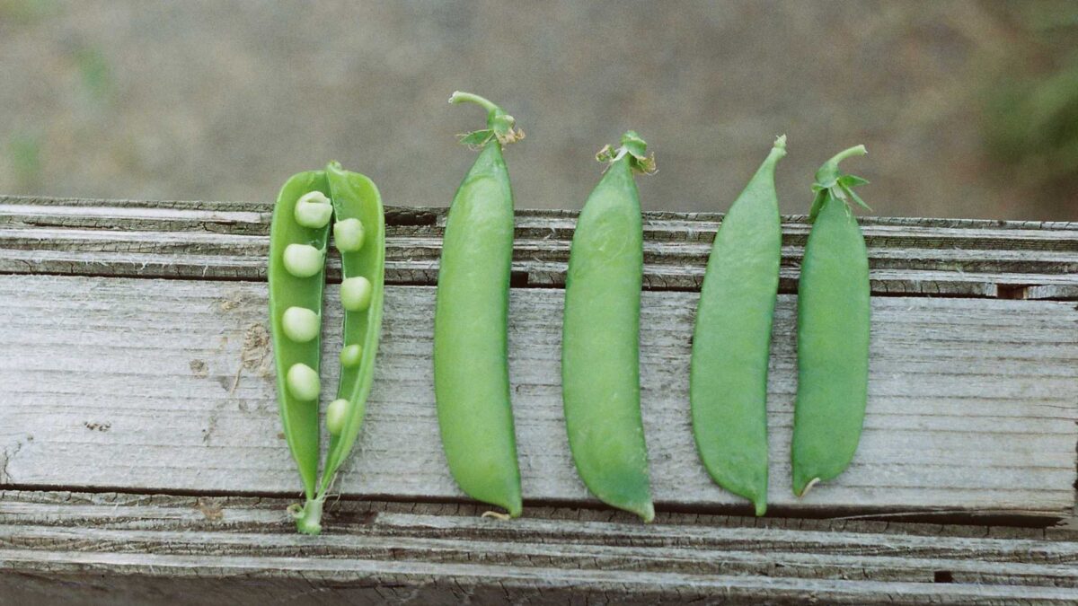 Un cuento (gastronómico) de primavera