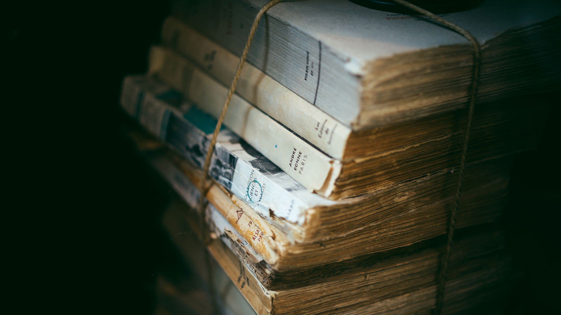 La historia y la memoria
