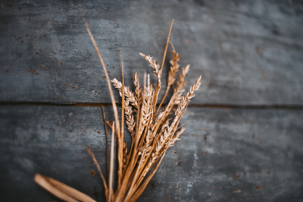 Los celiacos pagan 889 euros más al año por una dieta sin gluten