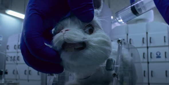 'Save Ralph', el corto contra la experimentación en animales que se ha hecho viral 1