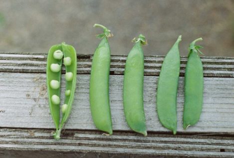 Un cuento (gastronómico) de primavera