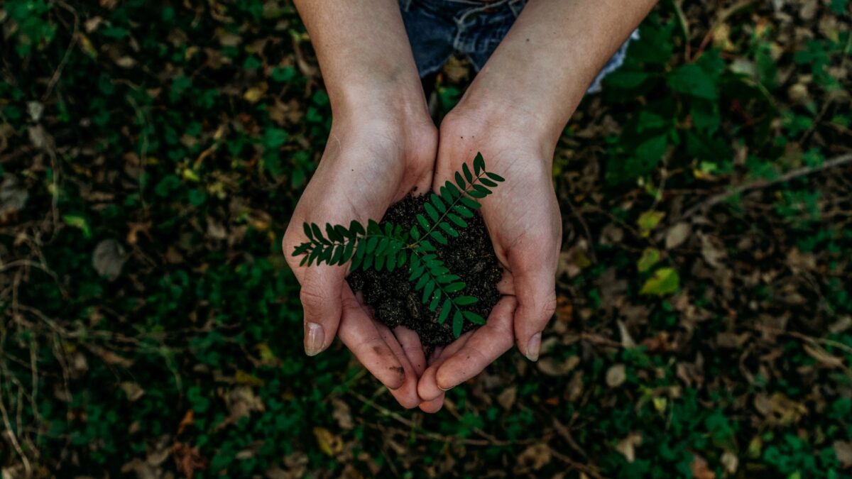 Impuestos ambientales, tan necesarios como ausentes en la ley de cambio climático