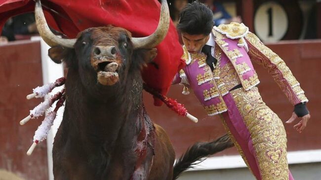 El Constitucional avala la condena al edil que llamó asesino a Víctor Barrio, el torero fallecido en la plaza de toros de Teruel
