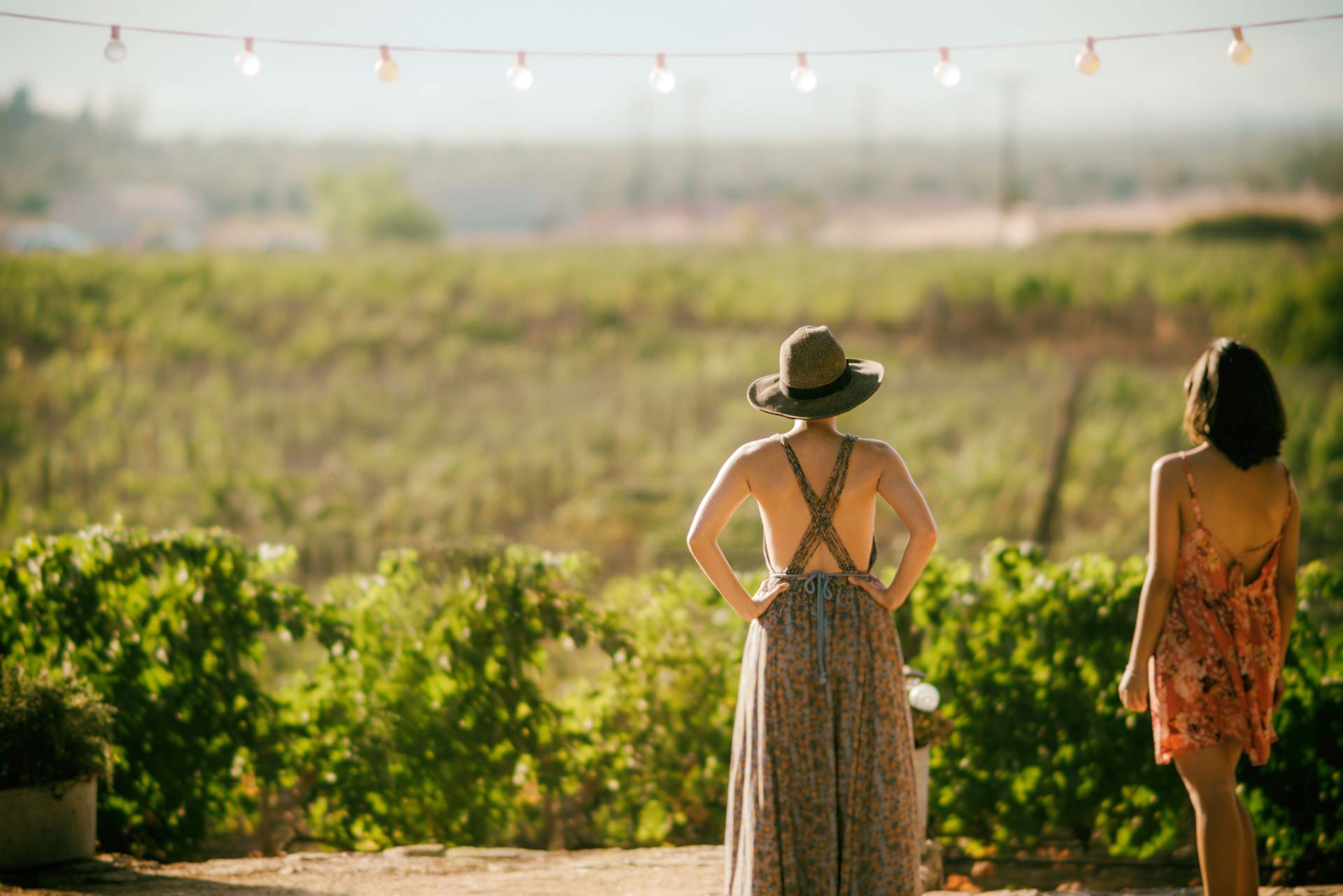 Hacer vino es cosa de mujeres