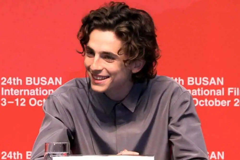 Timothée Chalamet interpretará al joven Willy Wonka