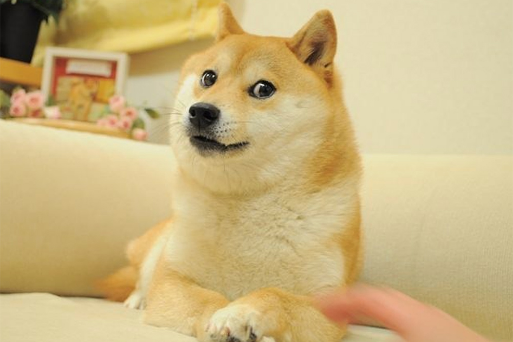 El NFT del meme «Doge» marca un récord al subastarse por cuatro millones de dólares