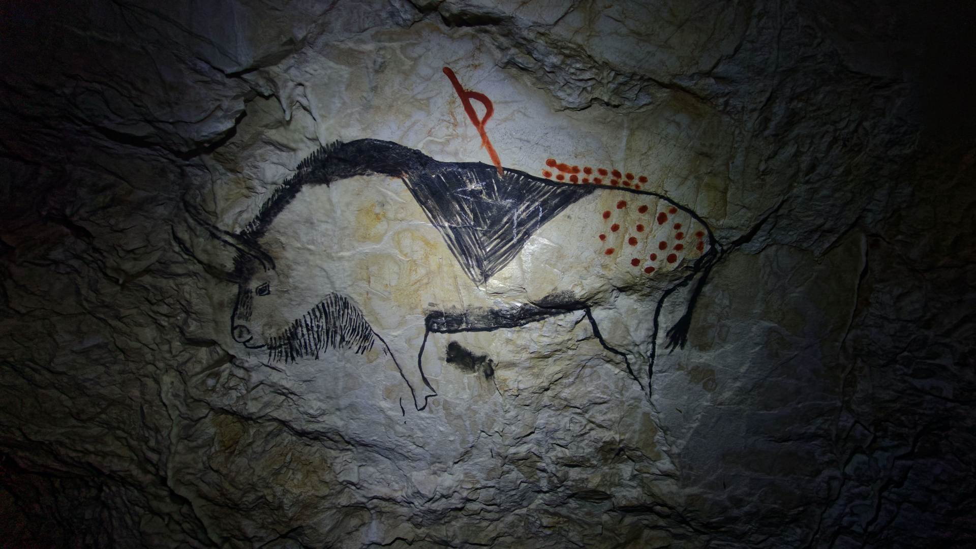 Los animales de las pinturas rupestres nos hablan de arte y empatía a través de los milenios