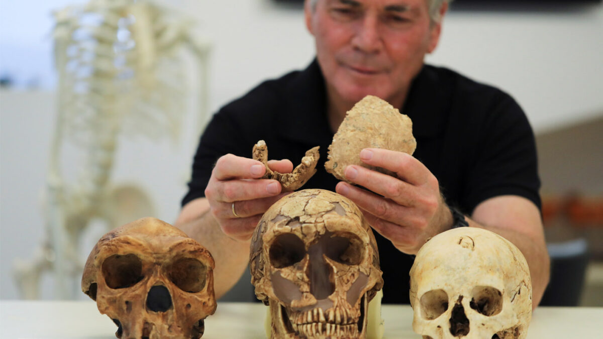 Homo de Nesher Ramla: descubren una nueva especie que puede cambiar la historia de la evolución humana